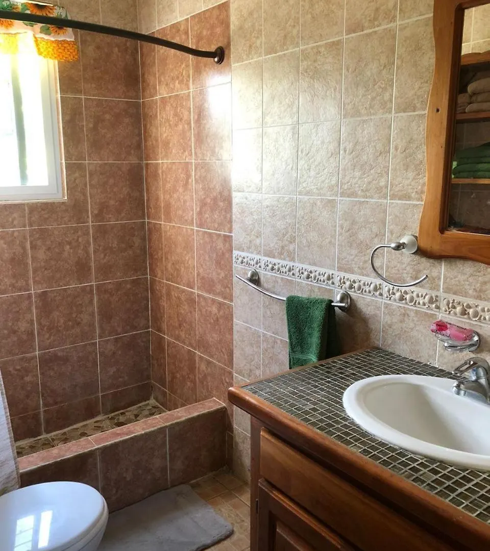 1 Bed Condo Ocean View Negril Apartment