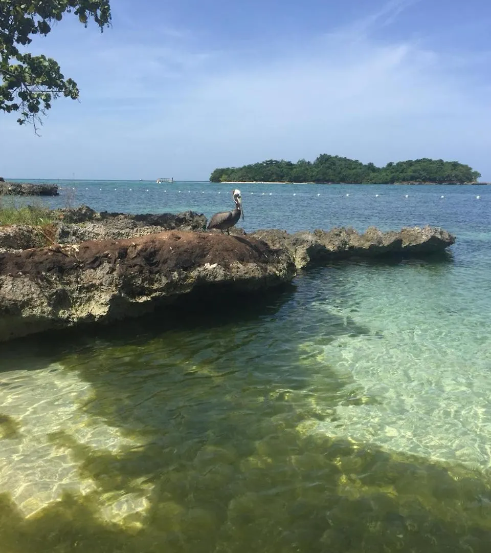 Apartment 1 Bed Condo Ocean View Negril Jamaica
